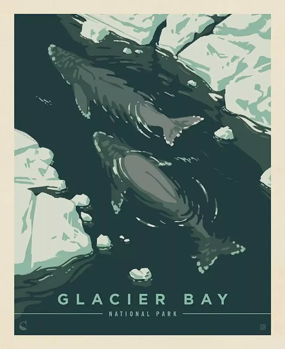 Cotton Fabric Panel, 43″/44″ Wide National Parks in Glacier Bay by Riley Blake Designs