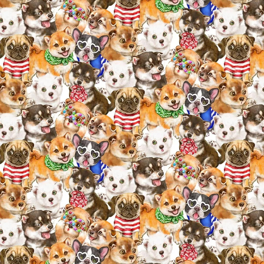 Trendy Pups6886-35